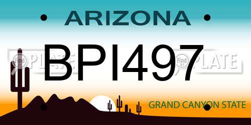 BPI497 Arizona License Plate