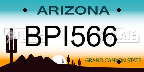 BPI566 Arizona License Plate