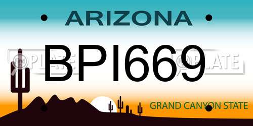 BPI669 Arizona License Plate