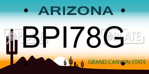BPI78G Arizona License Plate