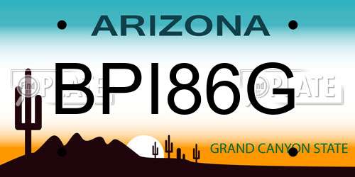 BPI86G Arizona License Plate
