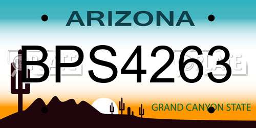 BPS4263 Arizona License Plate