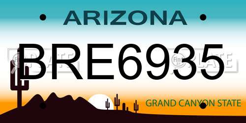 BRE6935 Arizona License Plate