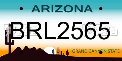 BRL2565 Arizona License Plate