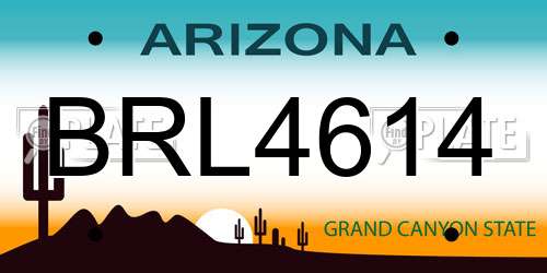 BRL4614 Arizona License Plate