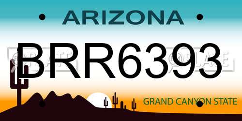 BRR6393 Arizona License Plate