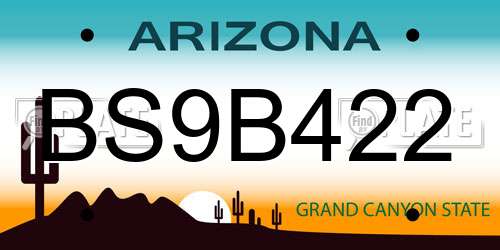 BS9B422 Arizona License Plate