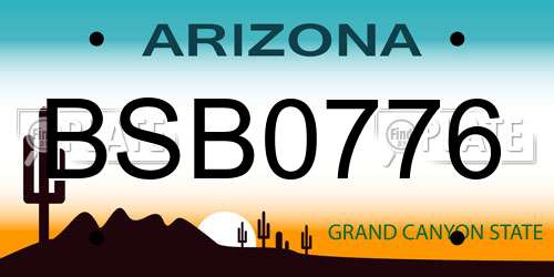 BSB0776 Arizona License Plate