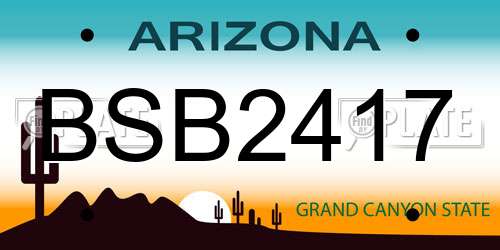 BSB2417 Arizona License Plate