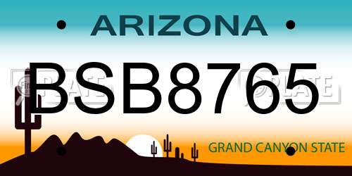 BSB8765 Arizona License Plate