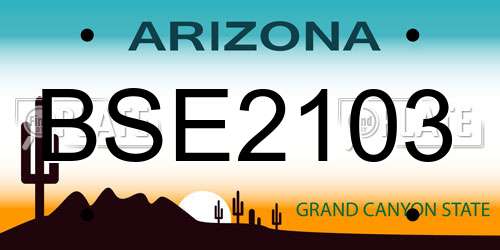 BSE2103 Arizona License Plate