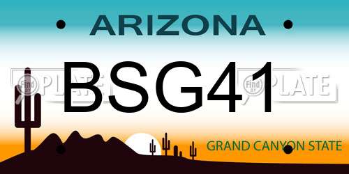 BSG41 Arizona License Plate