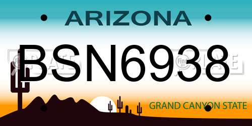 BSN6938 Arizona License Plate