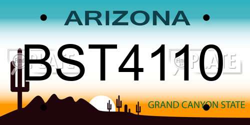 BST4110 Arizona License Plate