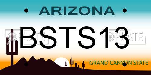BSTS13 Arizona License Plate