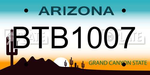 BTB1007 Arizona License Plate