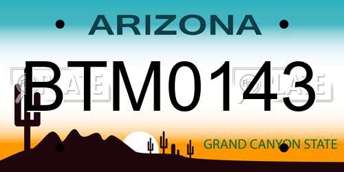 BTM0143 Arizona License Plate