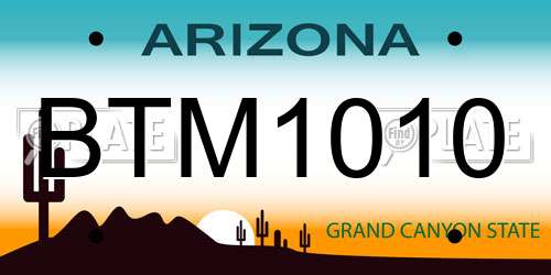 BTM1010 Arizona License Plate