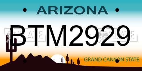 BTM2929 Arizona License Plate