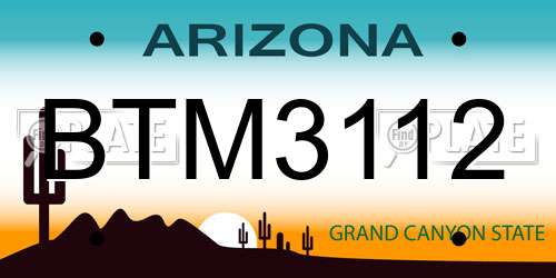 BTM3112 Arizona License Plate
