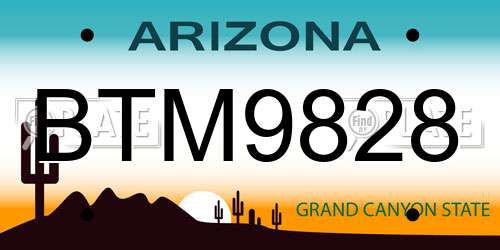 BTM9828 Arizona License Plate