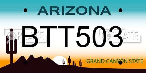 BTT503 Arizona License Plate