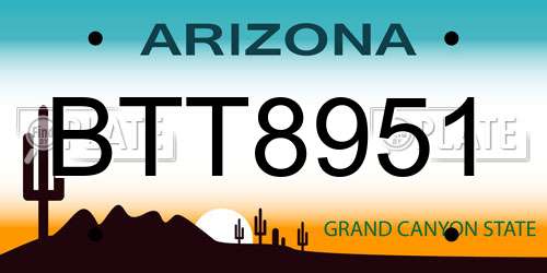 BTT8951 Arizona License Plate