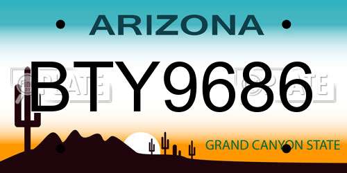 BTY9686 Arizona License Plate
