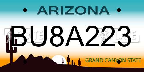 BU8A223 Arizona License Plate
