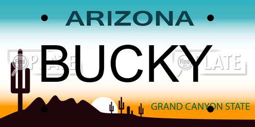 BUCKY Arizona License Plate