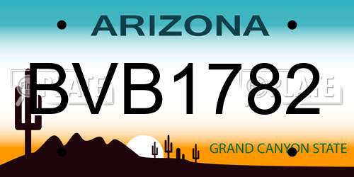 BVB1782 Arizona License Plate