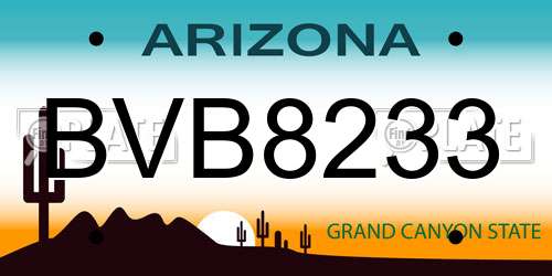 BVB8233 Arizona License Plate