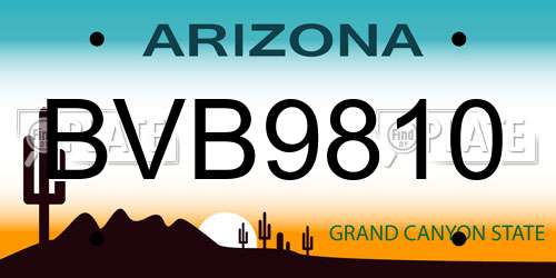 BVB9810 Arizona License Plate