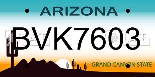 BVK7603 Arizona License Plate