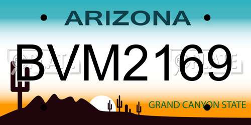 BVM2169 Arizona License Plate