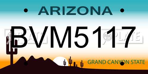 BVM5117 Arizona License Plate