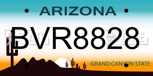 BVR8828 Arizona License Plate