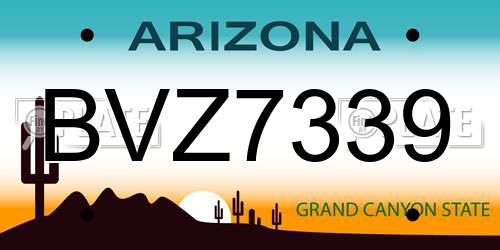 BVZ7339 Arizona License Plate