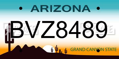 BVZ8489 Arizona License Plate