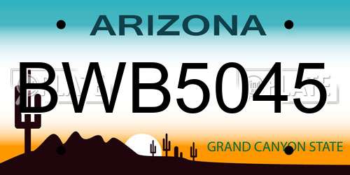 BWB5045 Arizona License Plate