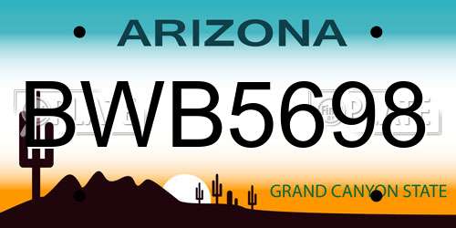 BWB5698 Arizona License Plate