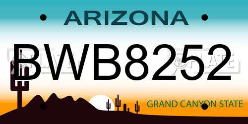 BWB8252 Arizona License Plate
