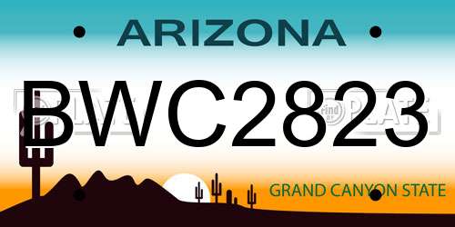 BWC2823 Arizona License Plate