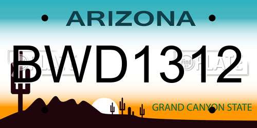 BWD1312 Arizona License Plate