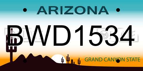 BWD1534 Arizona License Plate