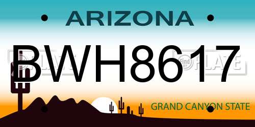 BWH8617 Arizona License Plate