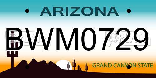 BWM0729 Arizona License Plate