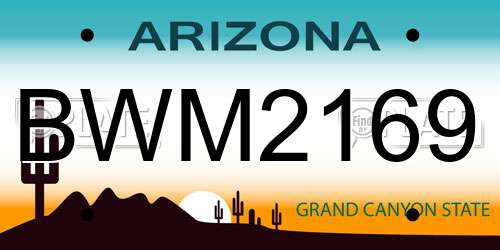BWM2169 Arizona License Plate
