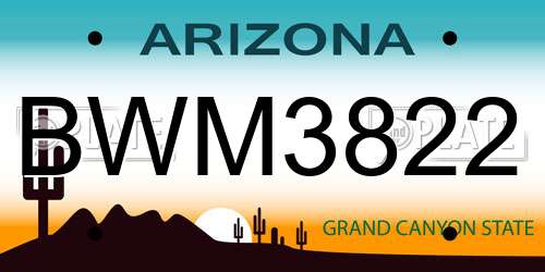BWM3822 Arizona License Plate