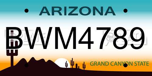 BWM4789 Arizona License Plate